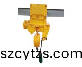 2t防爆電動葫蘆(lu)