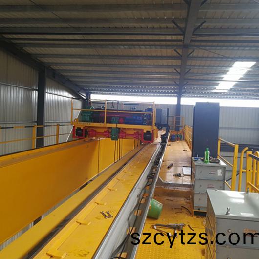 雙(shuang)樑行車